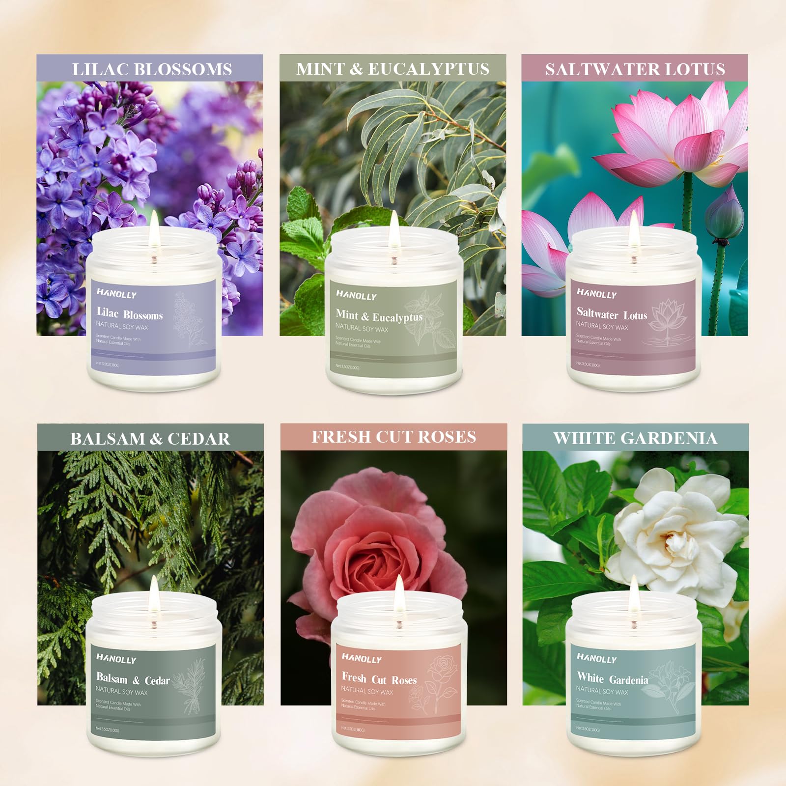 Hanolly 12-pack Fresh Cut Roses candles create romantic ambience