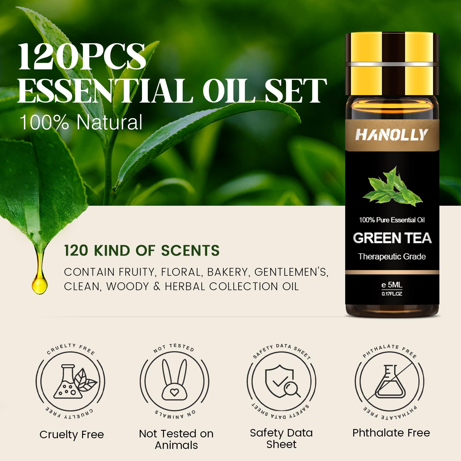 Hanolly fruity oils aroma collection enhances bright citrus notes for daily ambience.