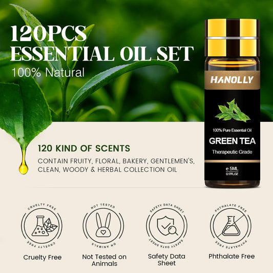 Hanolly fruity oils aroma collection enhances bright citrus notes for daily ambience.