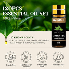 Hanolly fruity oils aroma collection enhances bright citrus notes for daily ambience.