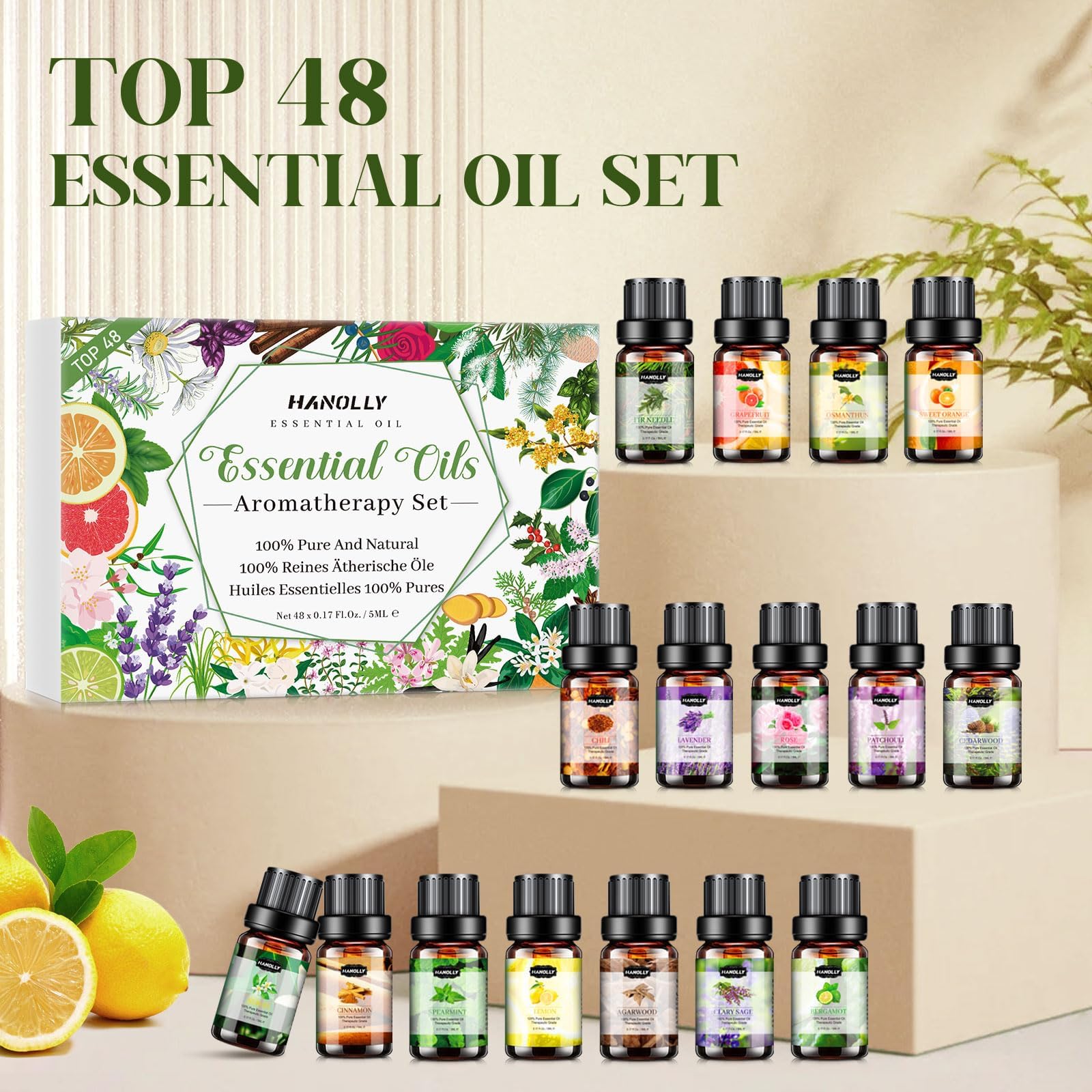 Hanolly gift box presentation suitable for holidays.