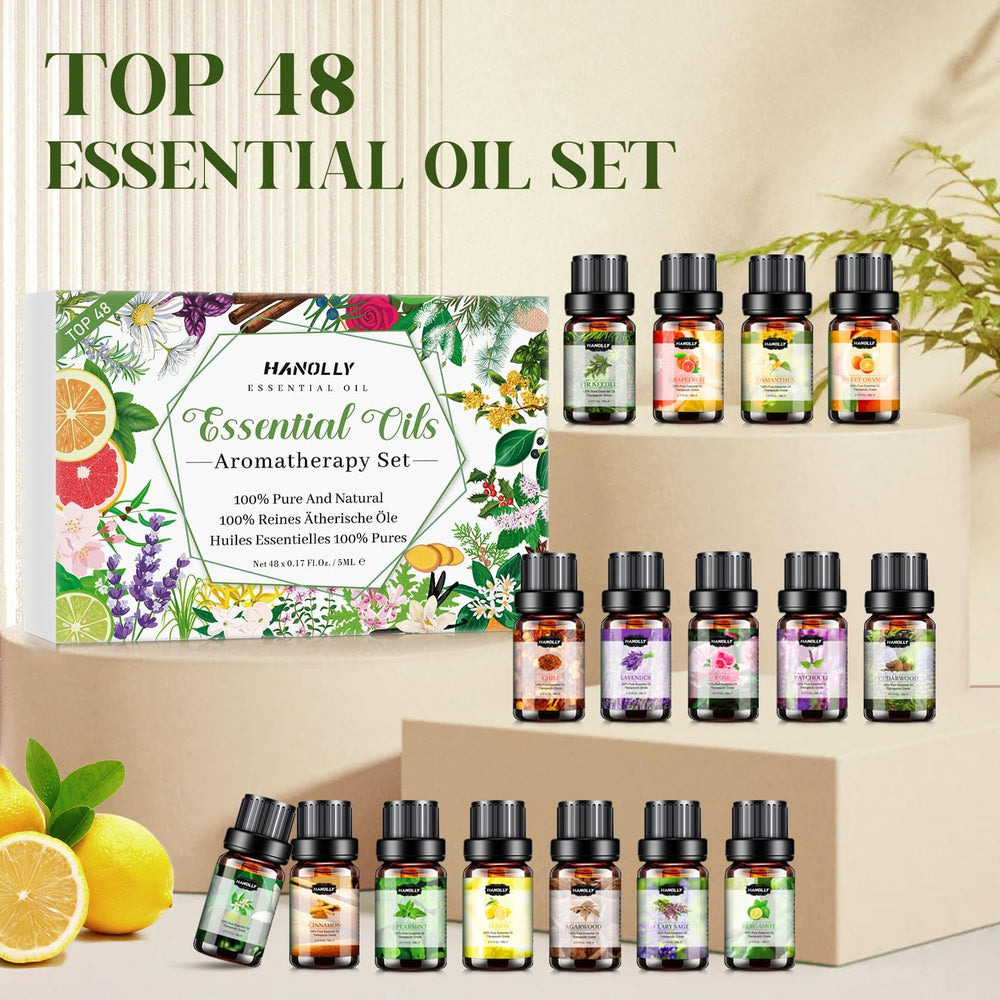 Hanolly gift box presentation suitable for holidays.