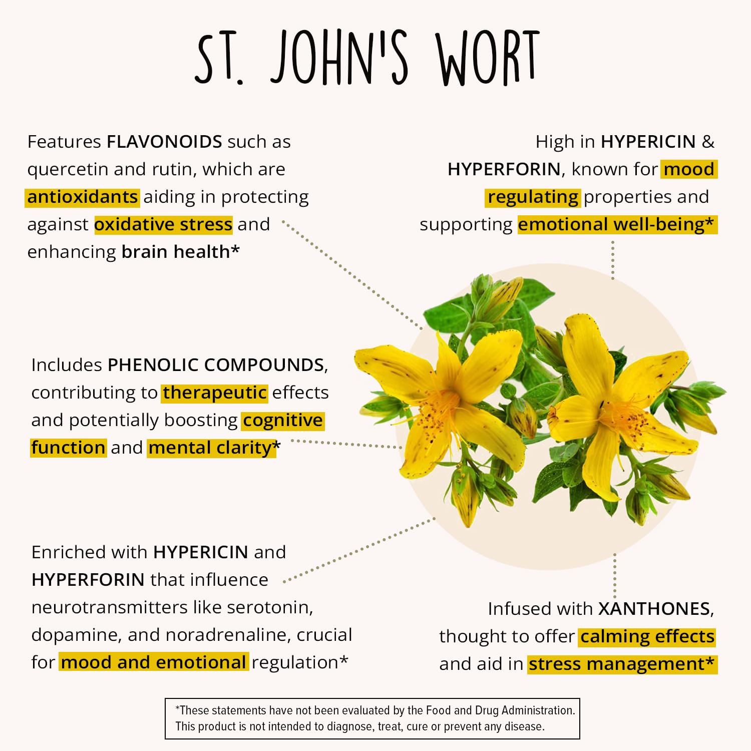 Rhodiola rosea root imagery hints at steady energy during busy days.