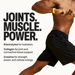 Harlo ingredients panel highlights collagen and creatine for joint support and power.