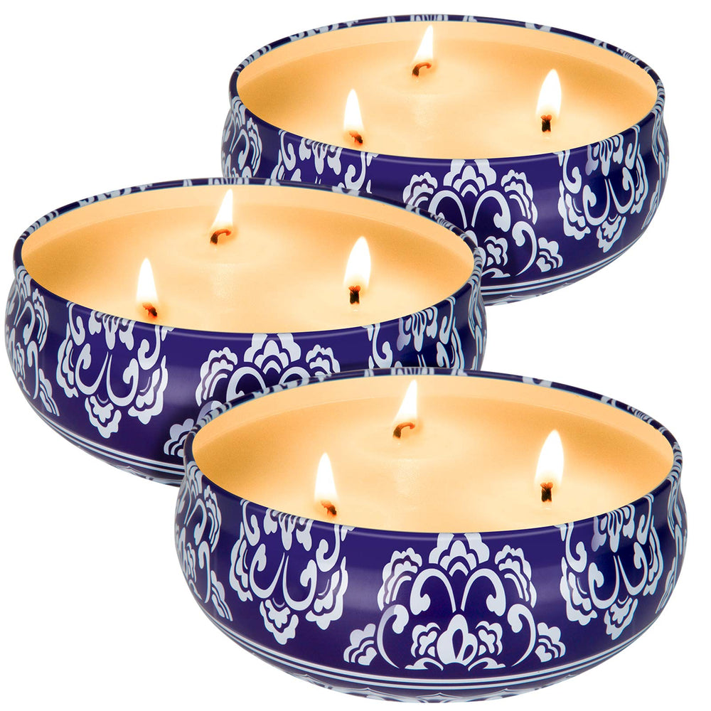 Hausware citronella candles 3-pack in portable tins for outdoor dining