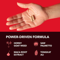 HAVASU NUTRITION Saw Palmetto L-Arginine Maca Panax label for energy support.