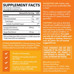 HAVASU NUTRITION turmeric gummies ginger root ingredients close-up highlights components