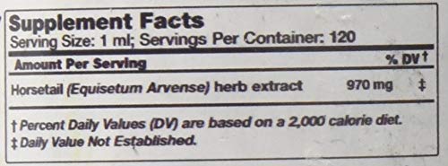 Hawaii Pharm Horsetail glycerite dropper for precise, alcohol-free herbal addition.