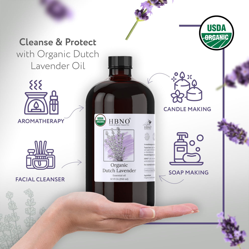 HBNO Lavender Dutch Oil flower closeup with fresh floral notes.