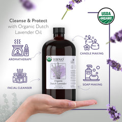HBNO Lavender Dutch Oil flower closeup with fresh floral notes.