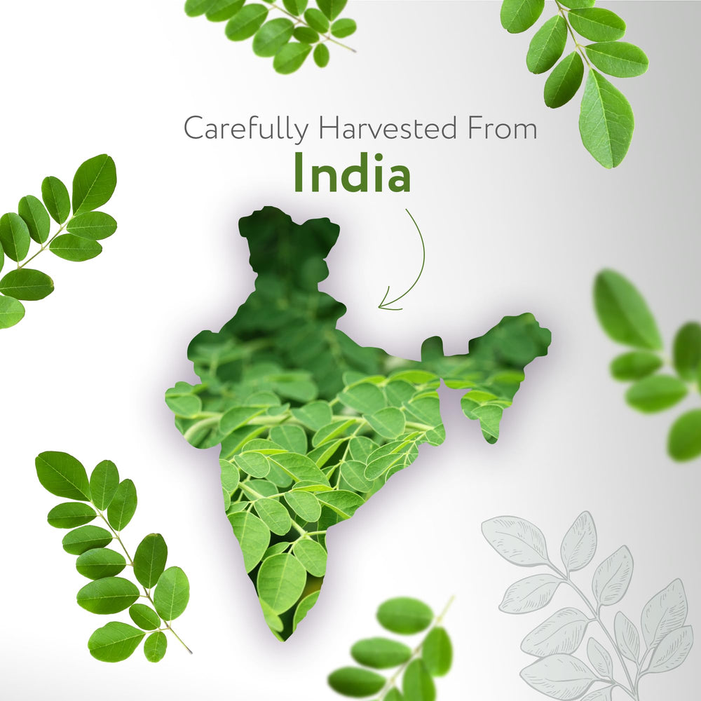 HBNO Organic Moringa Oil bottled in the USA, supporting local production.