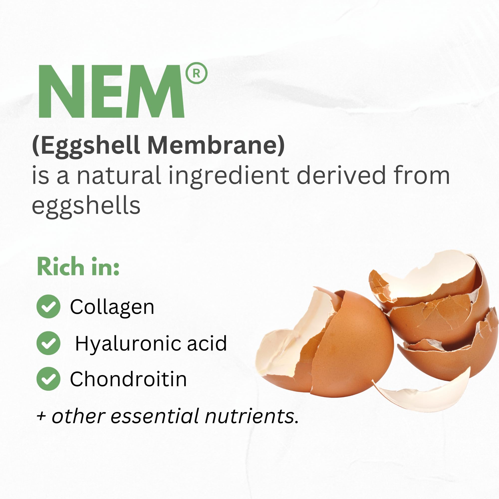 NEM eggshell membrane close-up highlighting nutrients