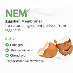 NEM eggshell membrane close-up highlighting nutrients