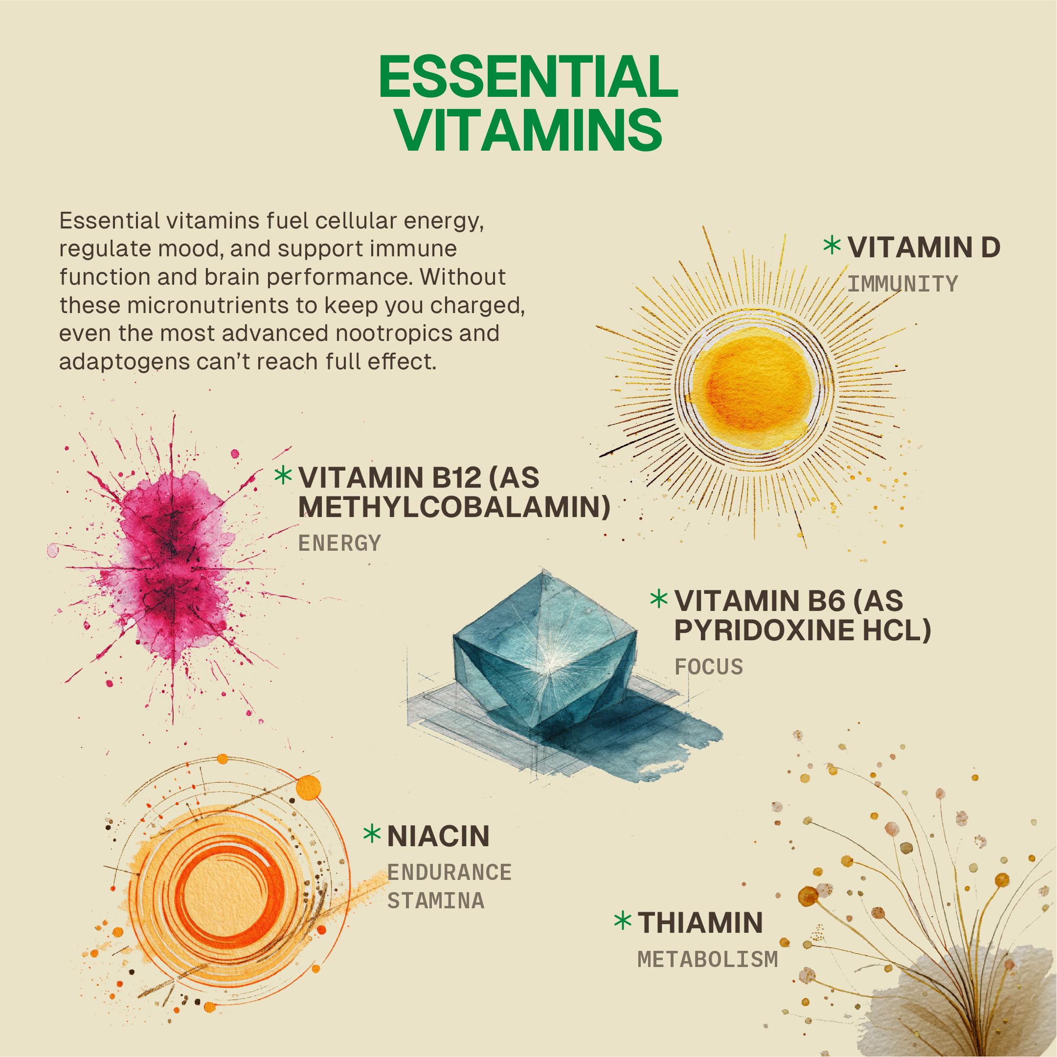 HEAD-START Sunrise Capsules adaptogenic mushroom blend close-up featuring Rhodiola and Reishi
