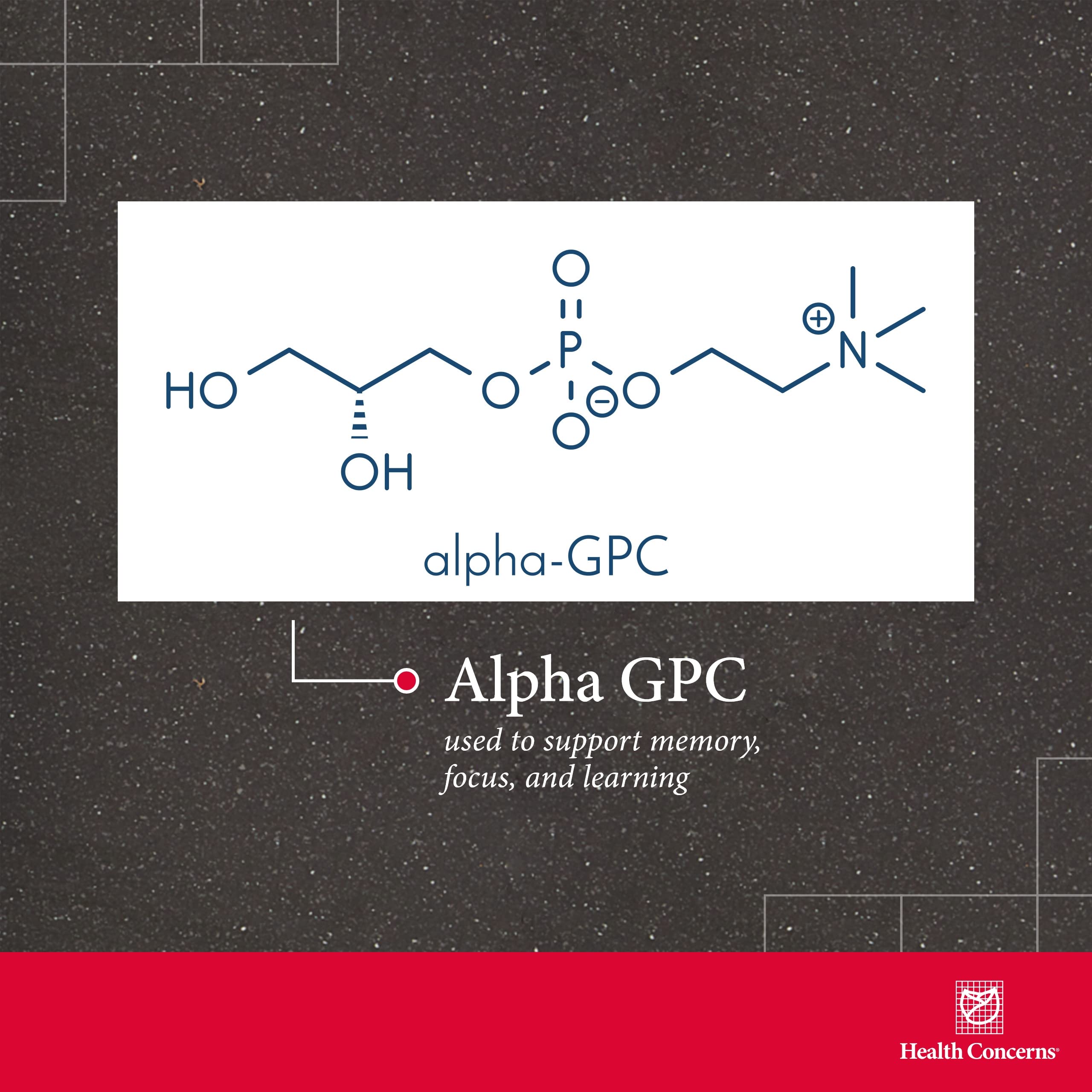Graphic emphasizing Alpha-GPC as a bioavailable choline source for cognition