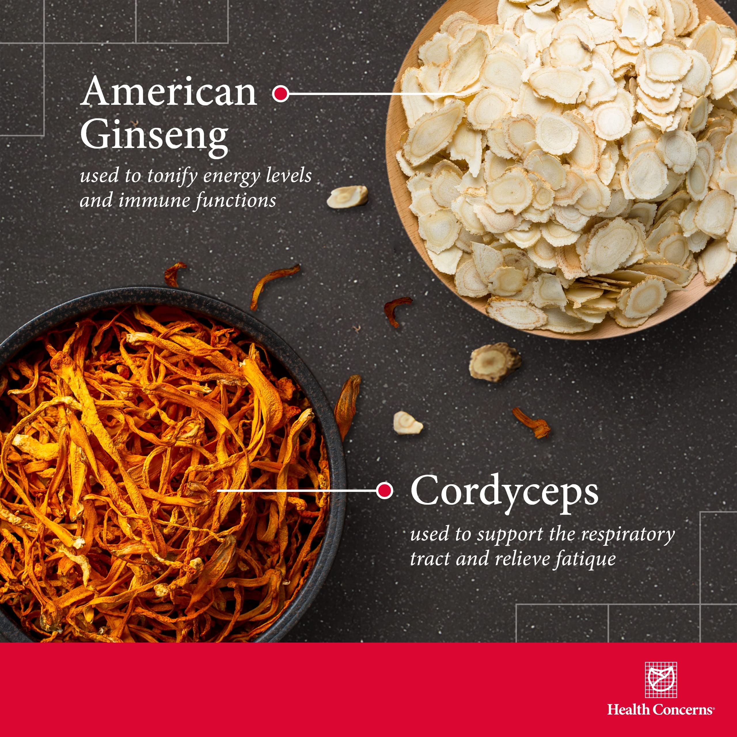 CordySeng ingredients blend featuring Cordyceps, Reishi, and herbs