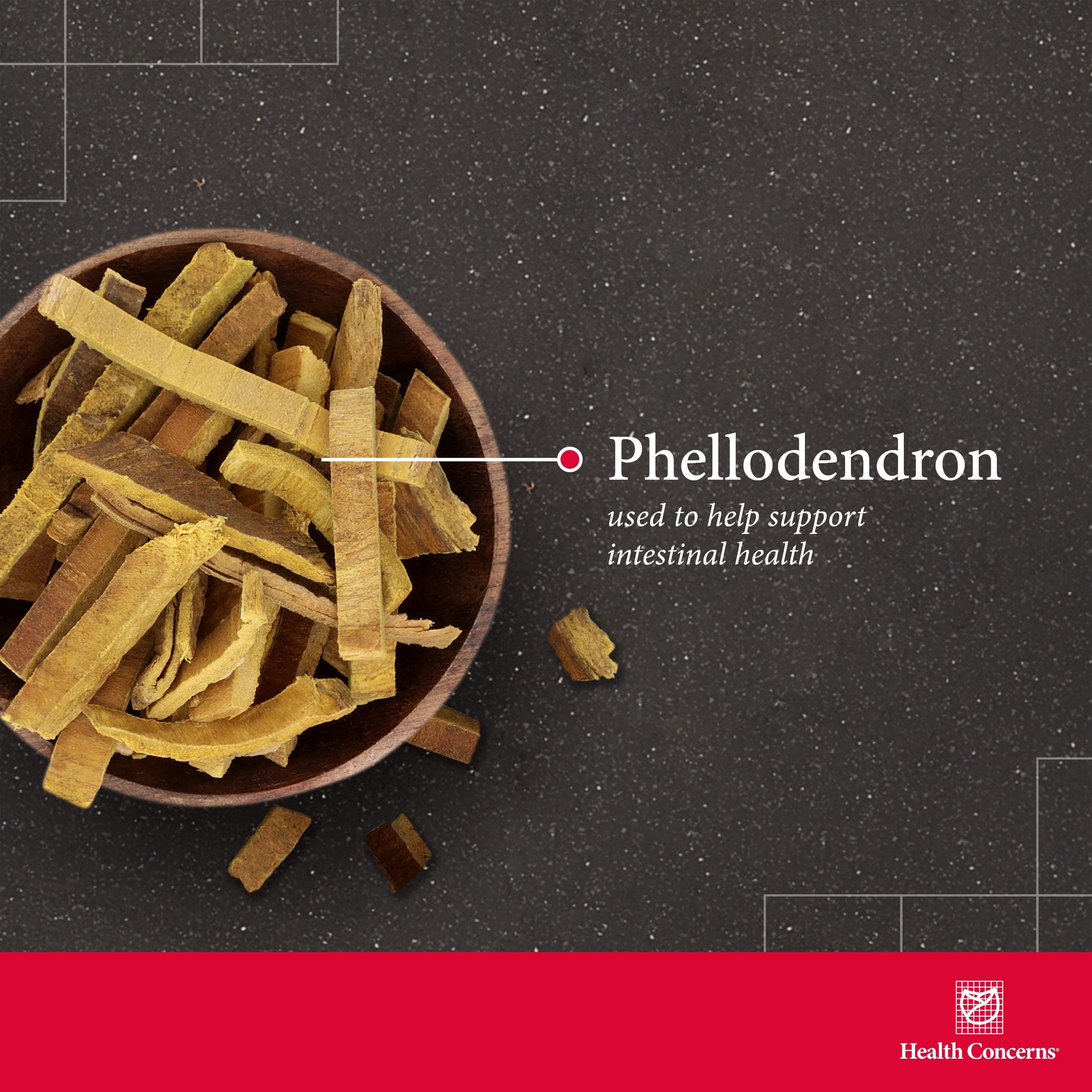 Health Concerns Phellostatin ingredient chart emphasizes Phellodendron cortex and traditional botanicals.