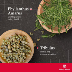 Health Concerns Stone Clearing capsules close-up emphasizes herbal blend