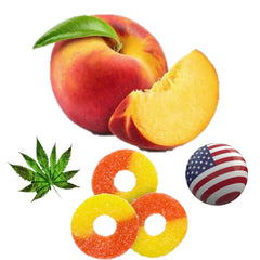 Healthergize relaxation-scene shows calm moment using gummies during winding day.