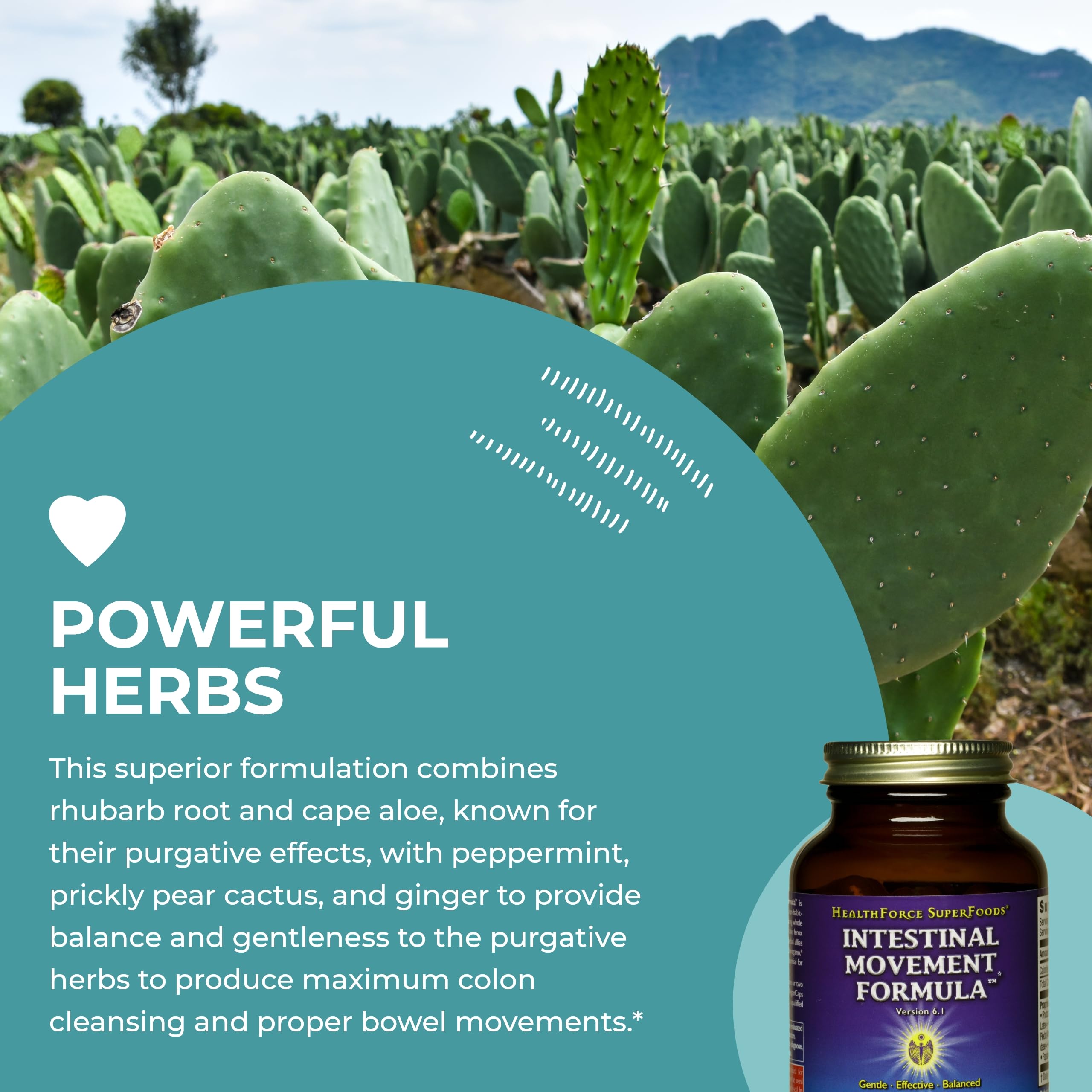 HealthForce SuperFoods whole-leaf herbs closeup illustrating the herbal components.