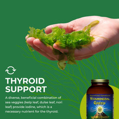 Vitamineral Green box with vegan, gluten-free, kosher icons for dietary trust.