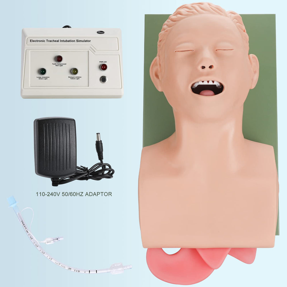 Healthible intubation model enables direct laryngoscopy technique practice.