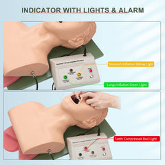 Healthible intubation model demonstrates endotracheal tube placement training.