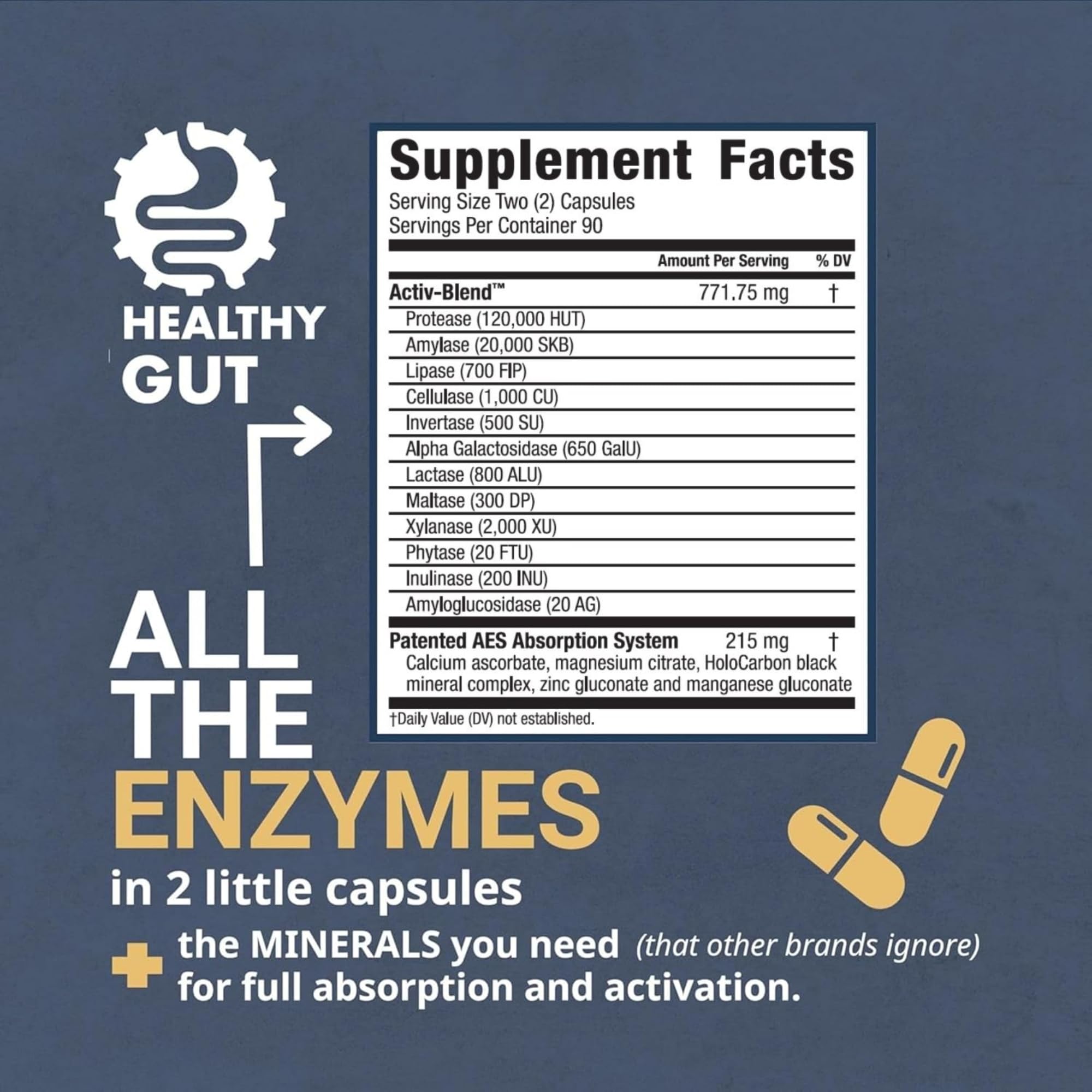 Healthy Gut HoloZyme capsules closeup highlights fast-acting digestive enzymes.