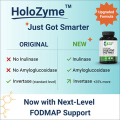 Healthy Gut HoloZyme serving scoop demonstrates measured servings for accurate dosing.