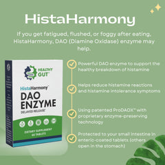 Healthy Gut HistaHarmony ProDAOX illustration highlights fast histamine metabolism.