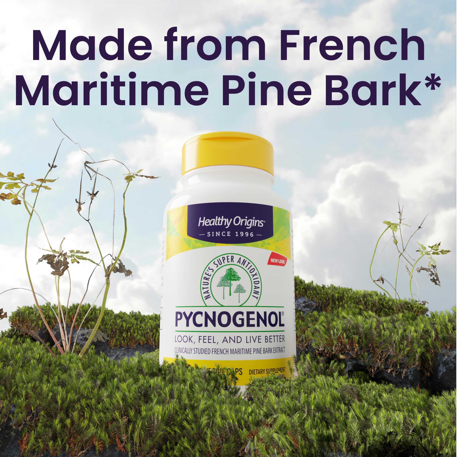 Packaging shot of Healthy Origins Pycnogenol packaging highlighting vegan, non-GMO profile.