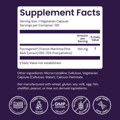Pour of Healthy Origins Pycnogenol capsules for daily antioxidant routine.