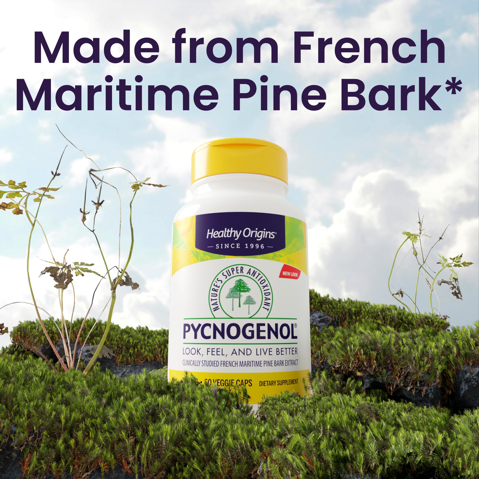 Healthy Origins Pycnogenol bottle with forest origin note on label.