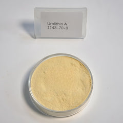 HealthyFinds Urolithin A powder pour ready for easy daily use