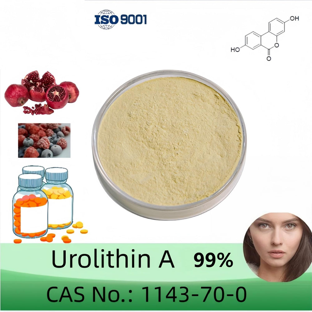 HealthyFinds Urolithin A powder scoop for precise dosing