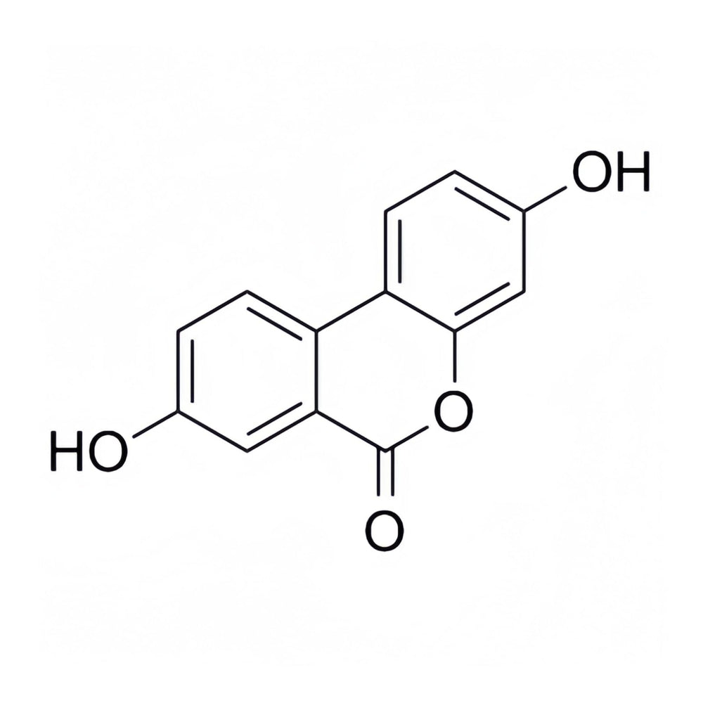 HealthyFinds Urolithin A powder stirred into water for convenient consumption