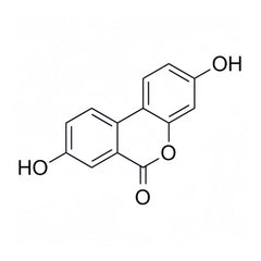 HealthyFinds Urolithin A powder stirred into water for convenient consumption