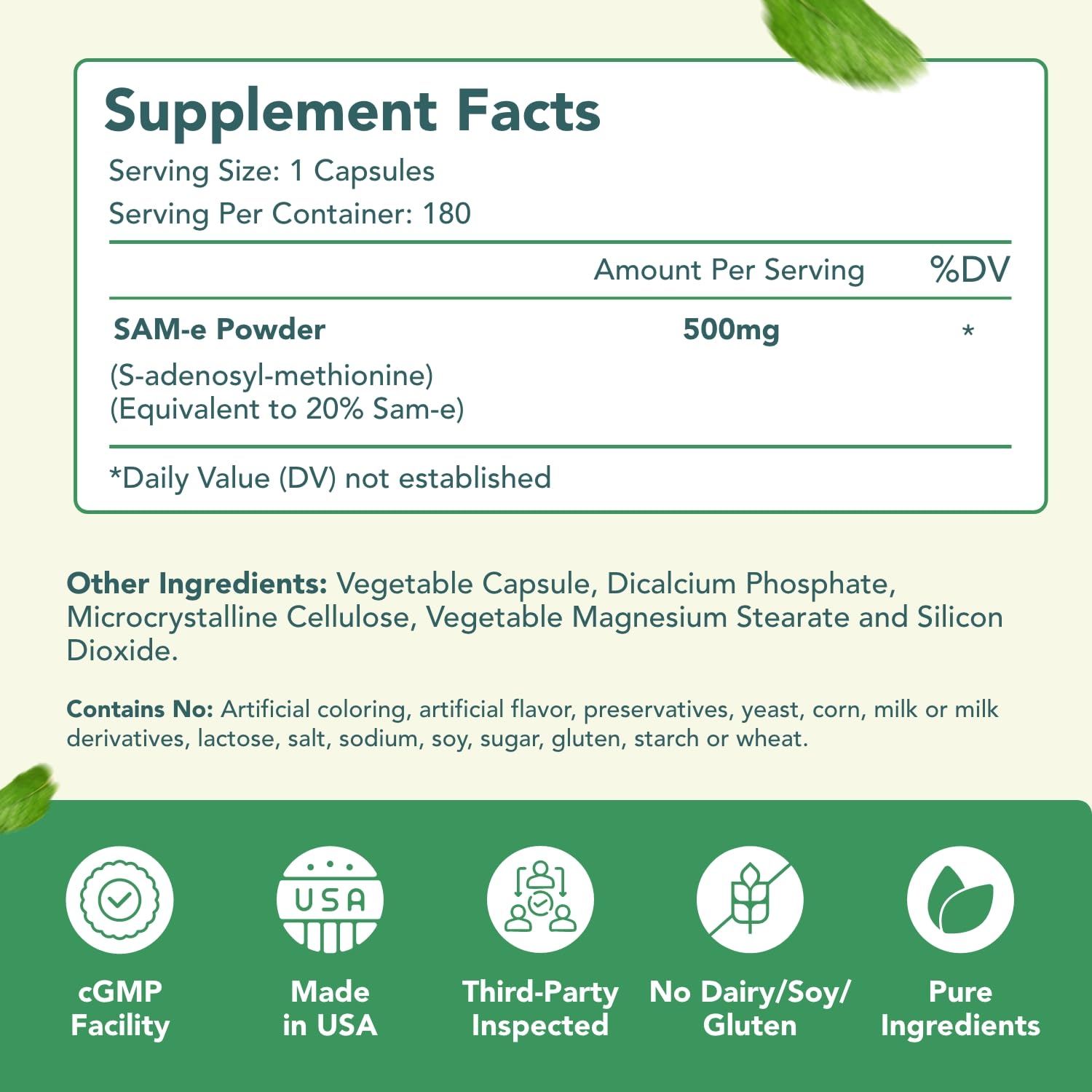 HealthyWayRx SAM-e bottle cap close-up showing clean ingredients.
