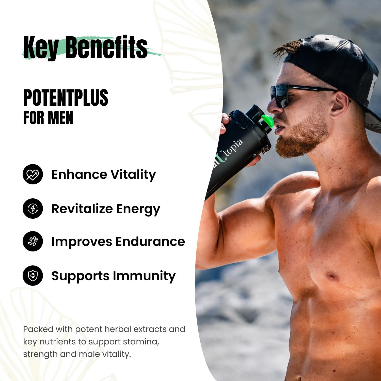 Cistanche extract showing desert ginseng-inspired resilience