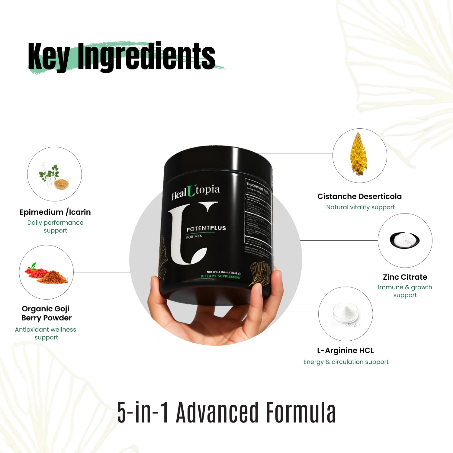 Horny Goat Weed icariins concentrate signaling potential stamina support