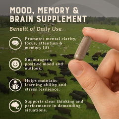 Heart & Soil brain supplement label close-up with non-GMO claim