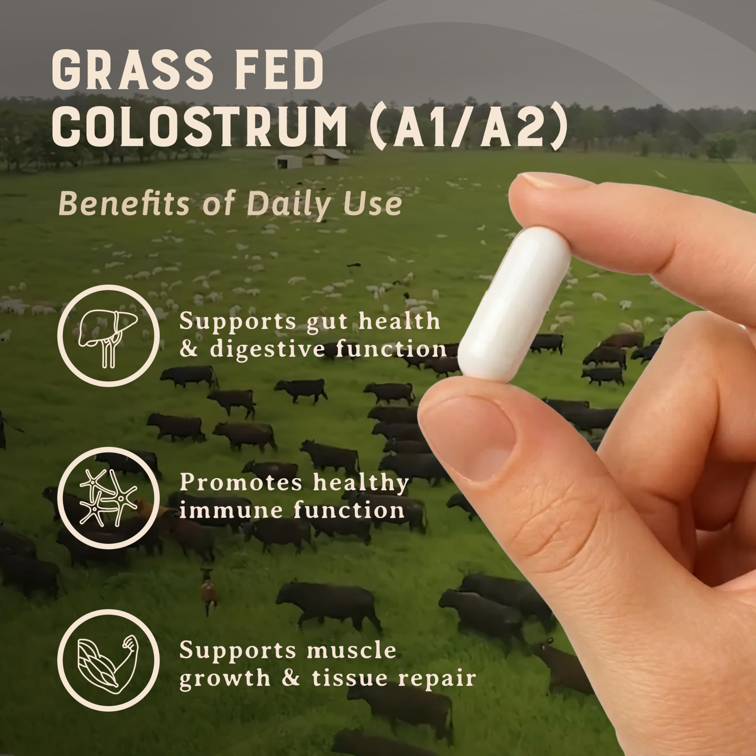 Heart & Soil grass-fed origin graphic highlighting regenerative cattle sourcing