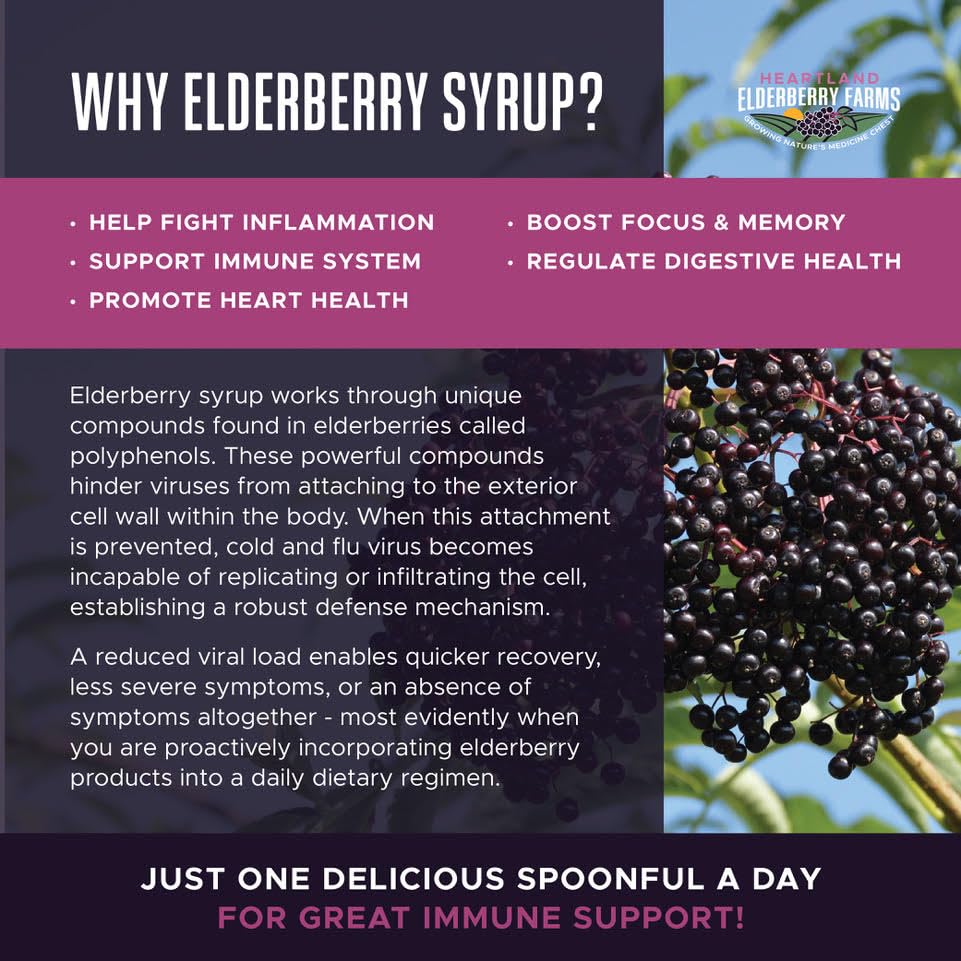 Close-up of label highlighting Midwest-sourced elderberries and natural ingredients.