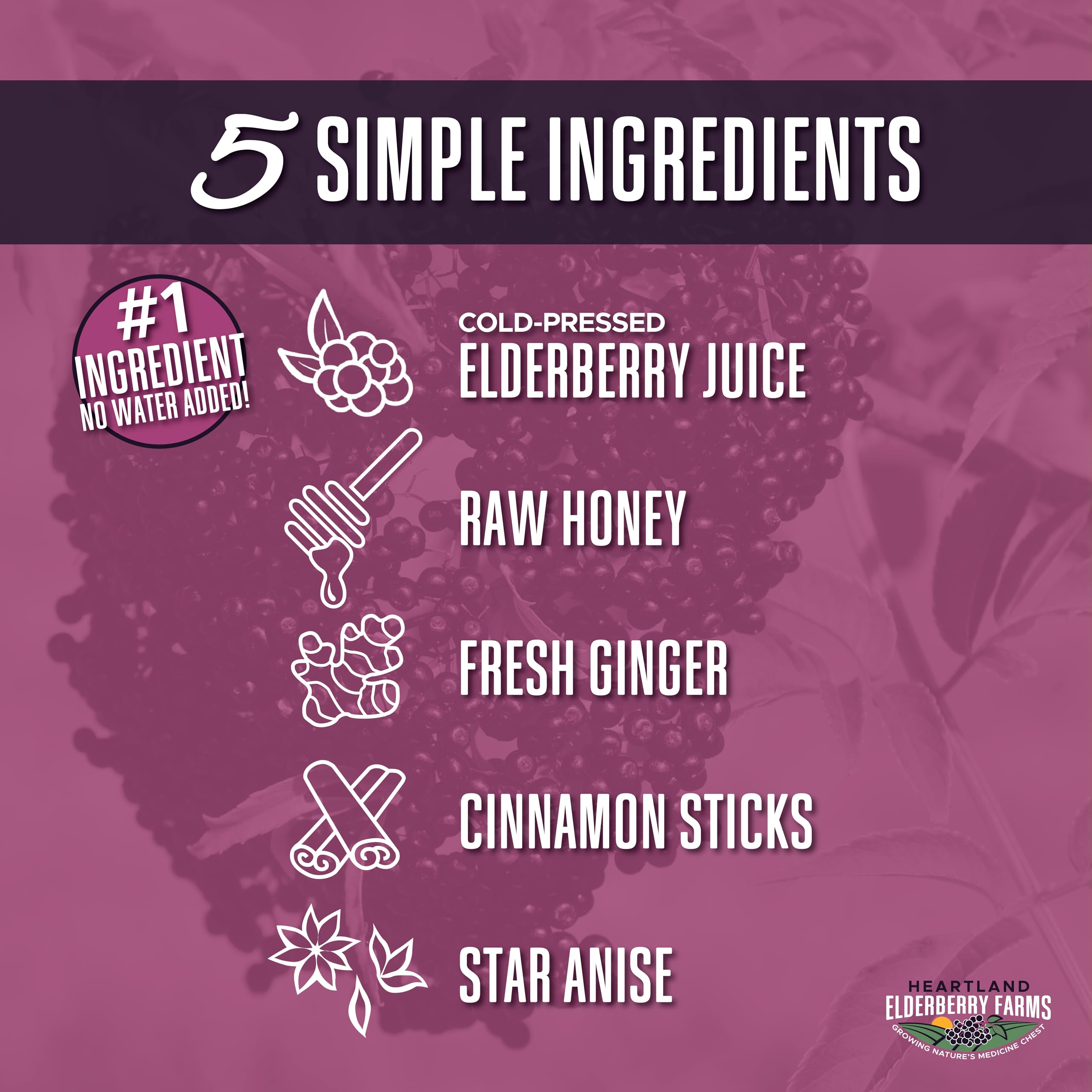 Heartland Organic Elderberry Syrup ingredients closeup with elderberry components.
