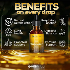 HEBS LAB Mullein Leaf Extract health scene suggesting daily wellness