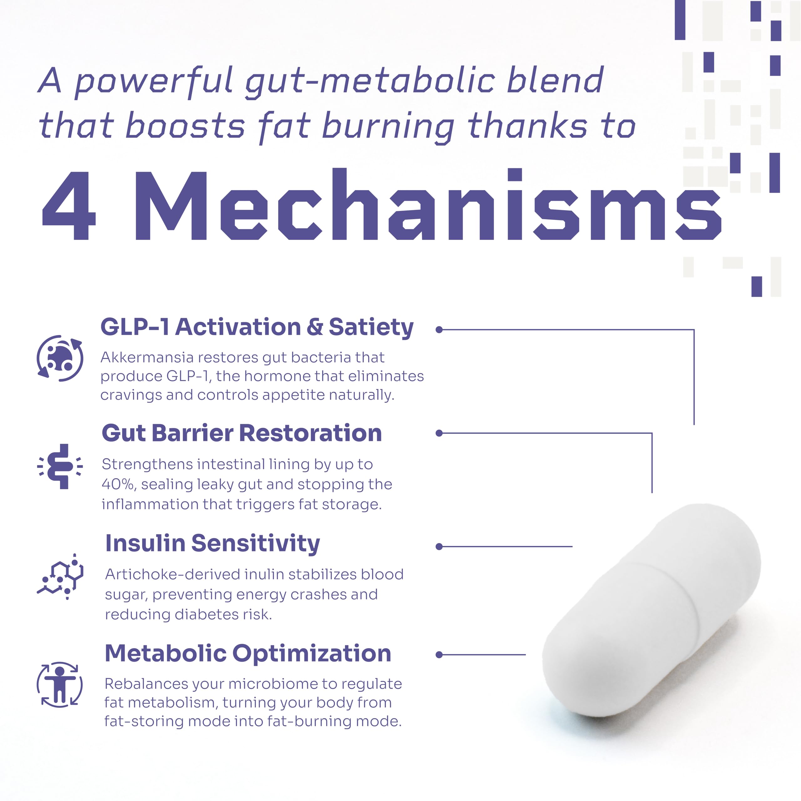 HELLO100 artichoke-derived inulin visualizing prebiotic support for digestion and balance.