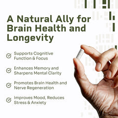 Hello100 Lions Mane label graphics reveal 20% beta-glucans and dual extraction.