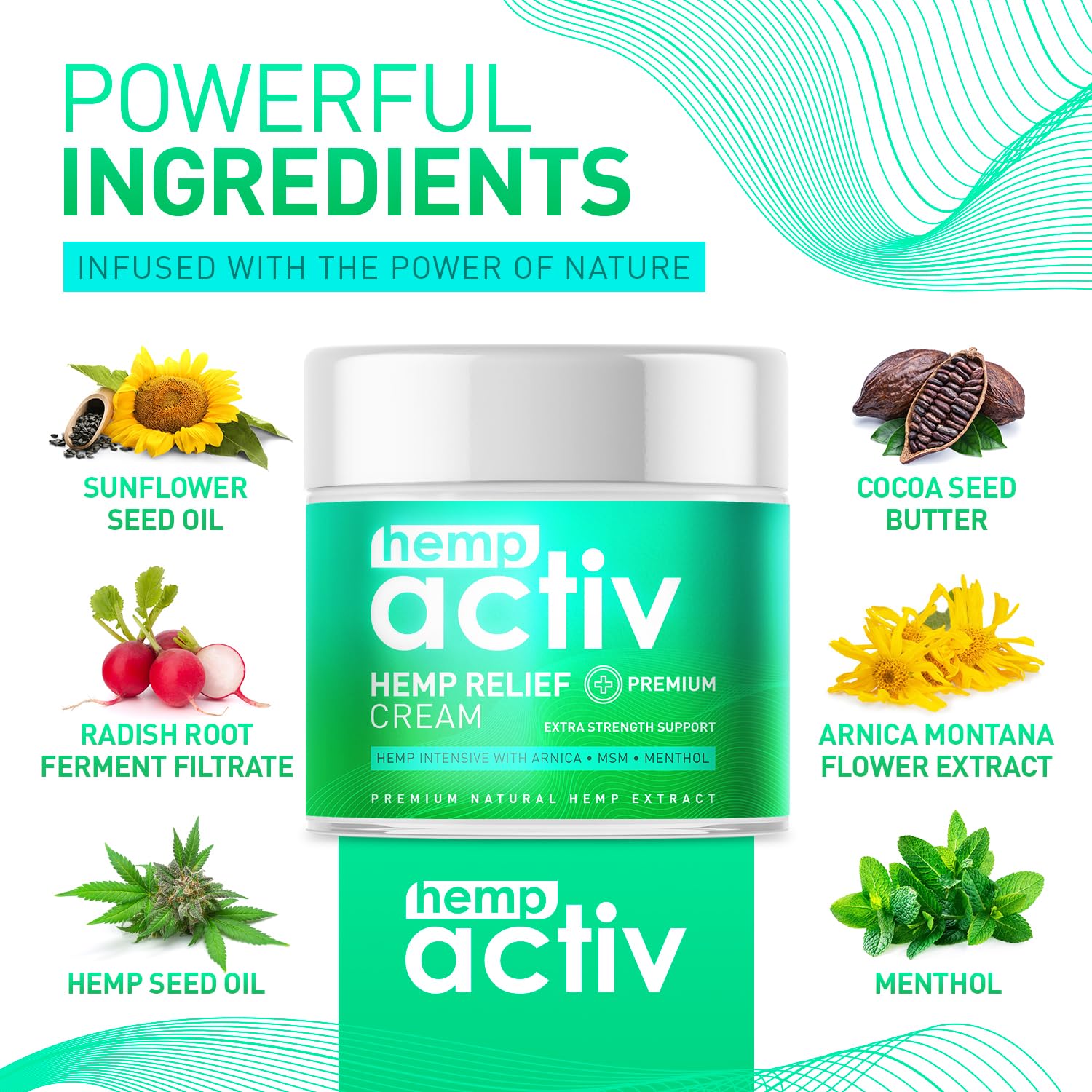 HEMPACTIV MSM Arnica close-up highlights soothing daily comfort.