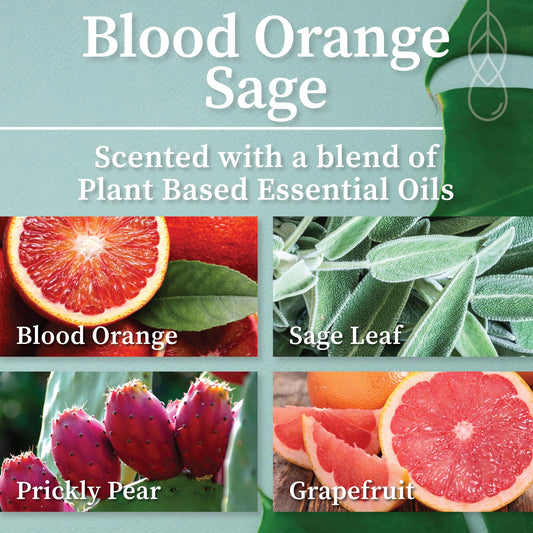 Hemlock Park Blood Orange Sage aroma enhances evenings