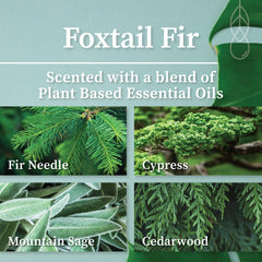 Hemlock Park Foxtail Fir candle close up highlighting natural coconut wax aroma